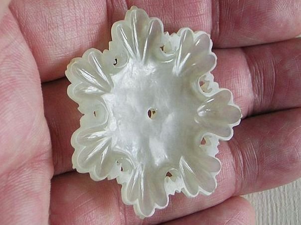 Flower  33 - (3610)
